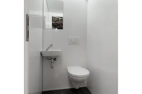 GL5200 Privacy 10, toiletruimte met hangtoilet, fonteintje en spiegel